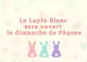 Le Lapin Blanc - Restaurant Avignon - Bon restaurant Avignon