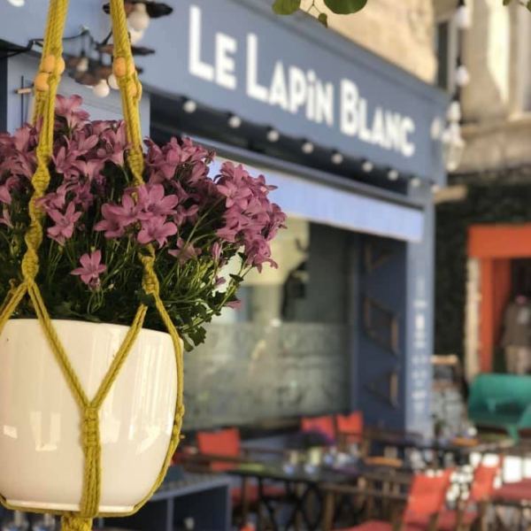 Le Restaurant - Le Lapin Blanc - Restaurant centre ville Avignon - les meilleurs restaurant de AVIGNON