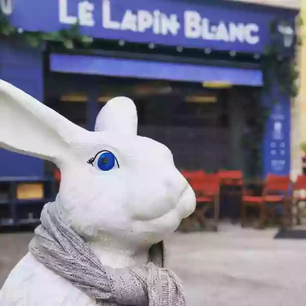 Le Restaurant - Le Lapin Blanc - Restaurant centre ville Avignon - Brasserie Avignon