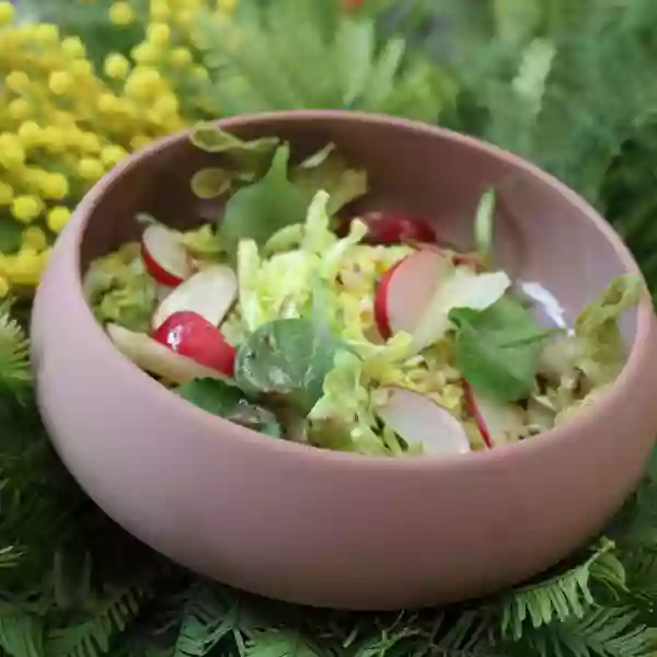 Galerie - Le Lapin Blanc - Restaurant terrasse Avignon - Ou manger à Avignon ?