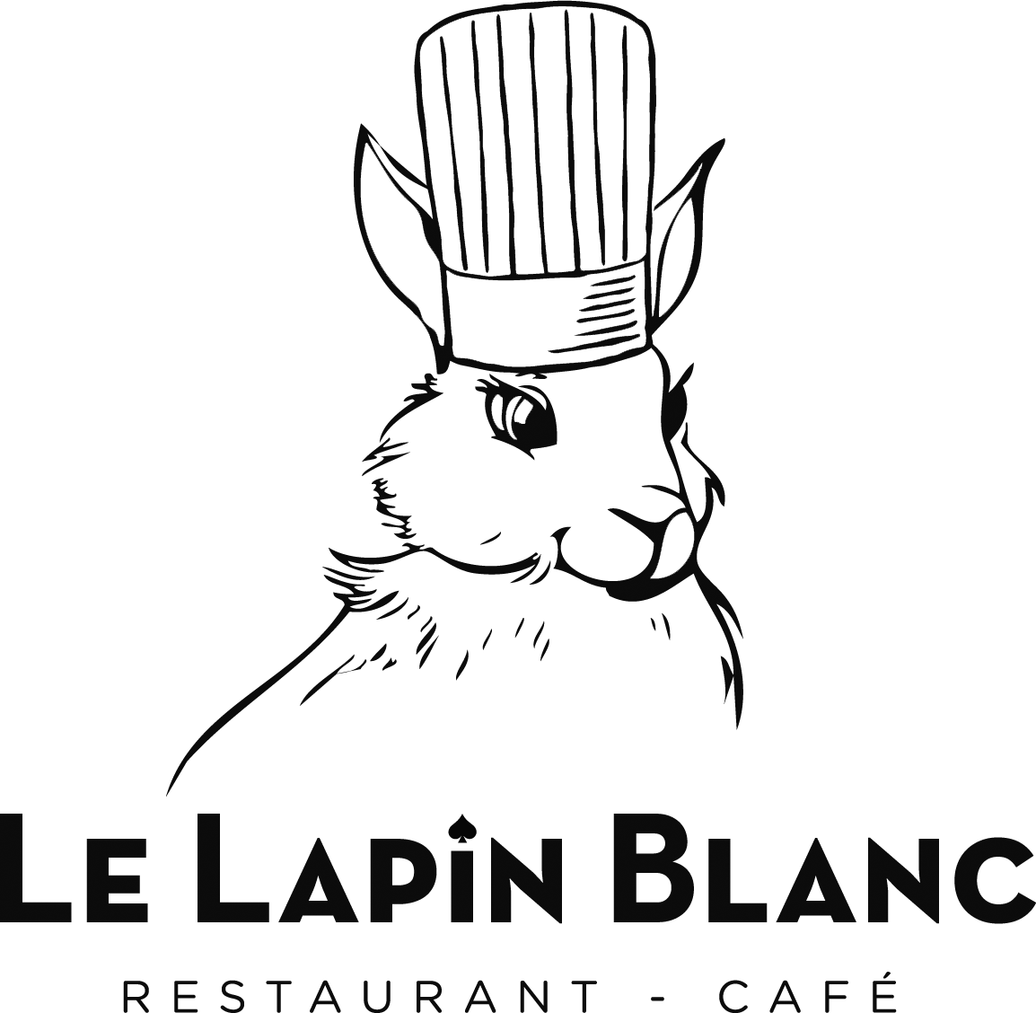 Adresse - Horaires - Téléphone - Le Lapin Blanc - Restaurant Tapas Avignon